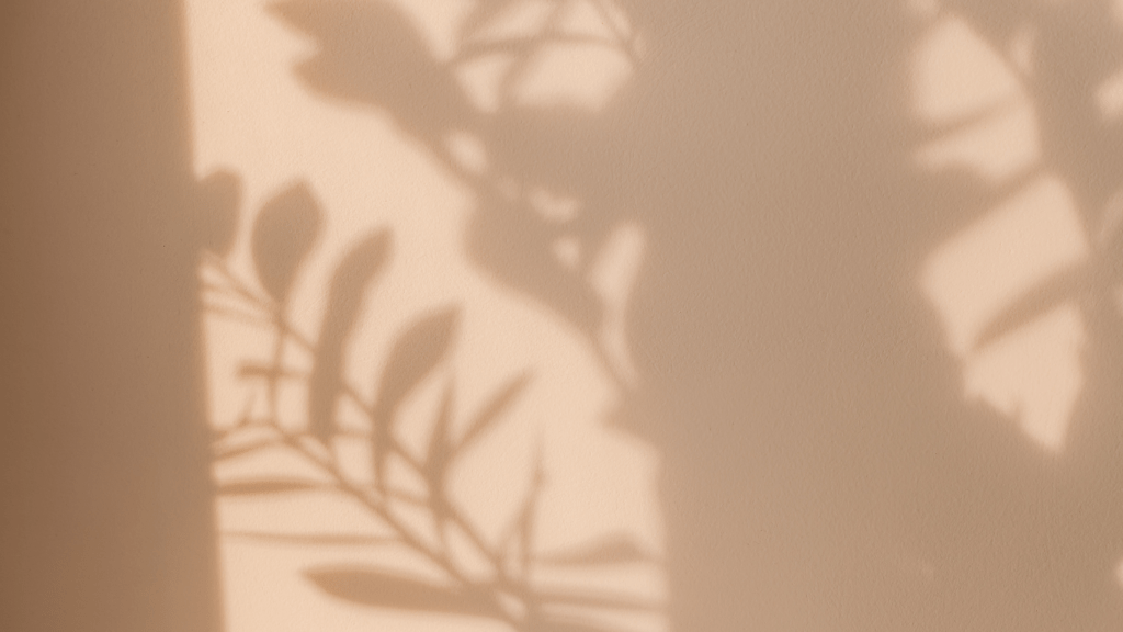 the shadow of a plant on a wall