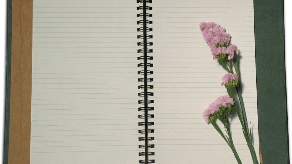 image of a blank book