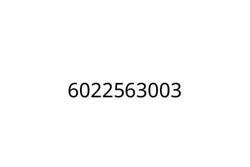 6022563003