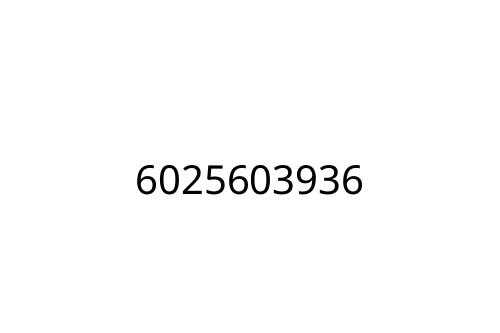 6025603936