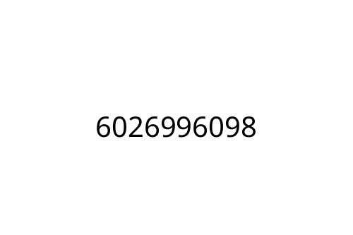6026996098