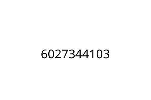 6027344103