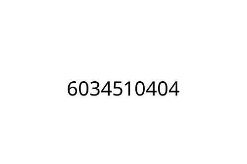 6034510404