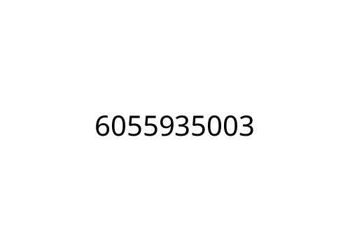 6055935003