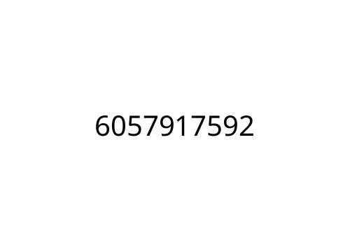 6057917592