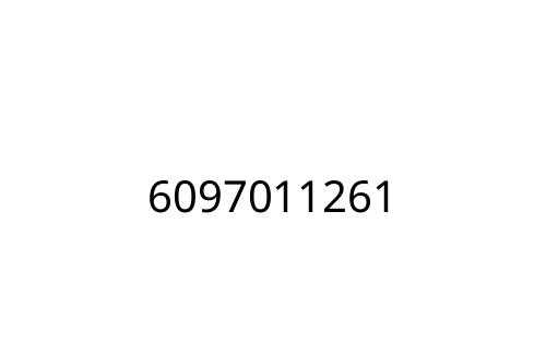 6097011261