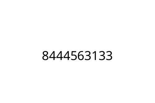 8444563133