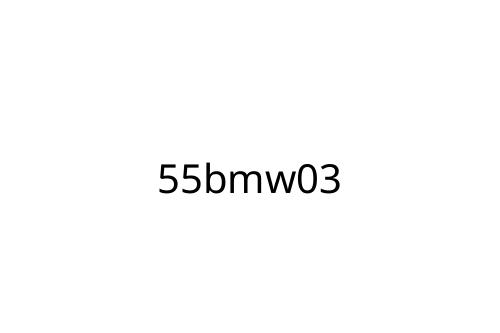 55bmw03