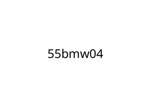 55bmw04