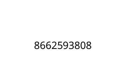 8662593808