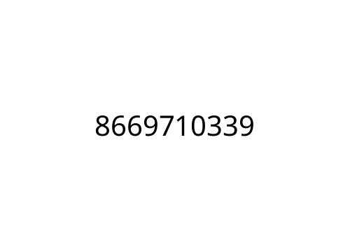 8669710339