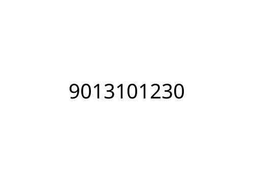 9013101230