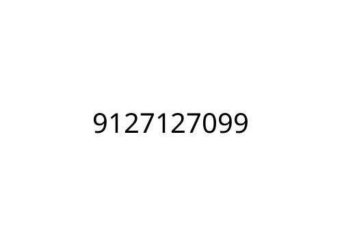 9127127099