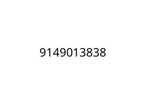 9149013838