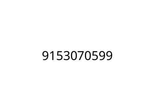 9153070599
