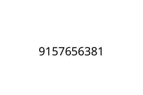 9157656381