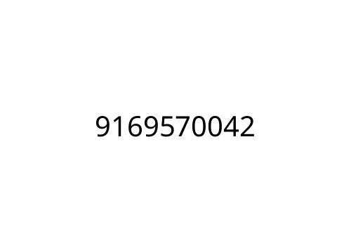 9169570042