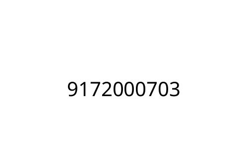 9172000703