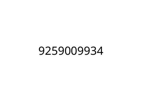 9259009934