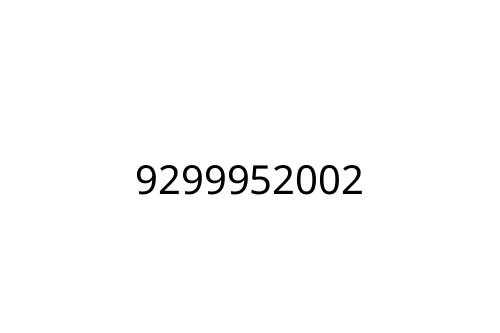 9299952002