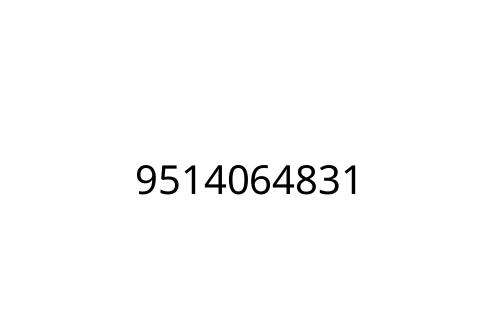 9514064831