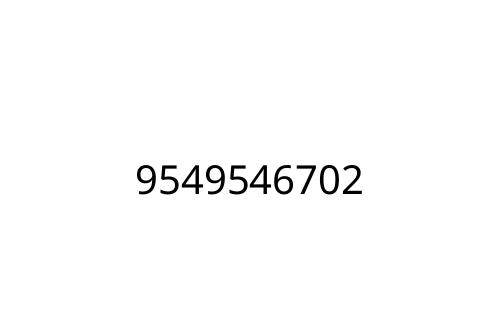 9549546702