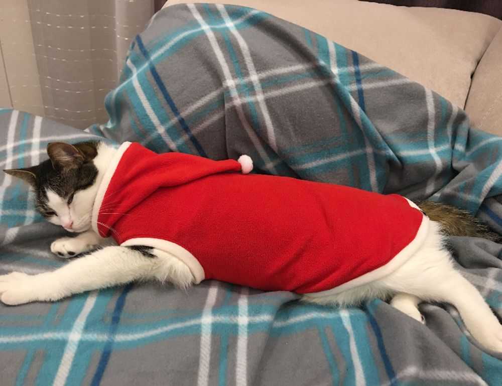 arcagallerdate gallery oil paintings by arcyart