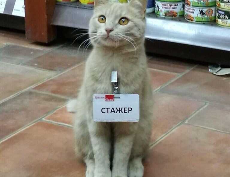 arcyhist latest painting directory from arcyart