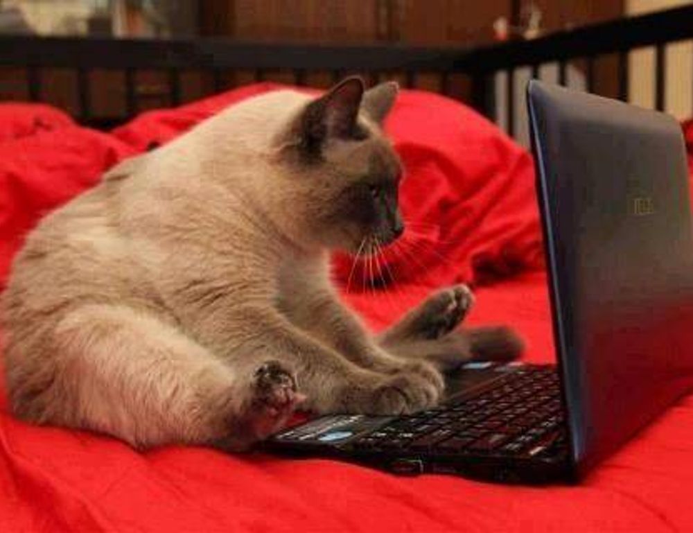 art directory arcahexchibto