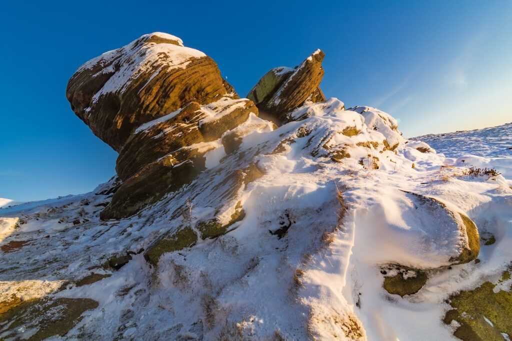 art directory artypaintgall