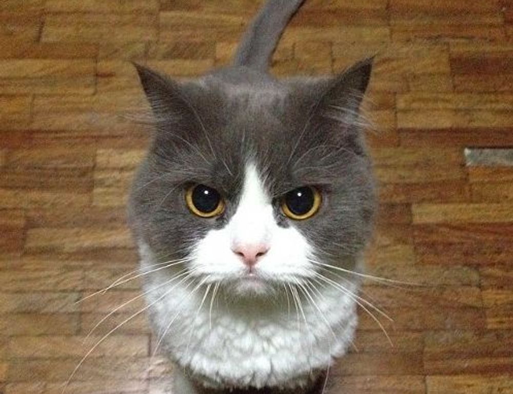 can i take food kayudapu on a plane