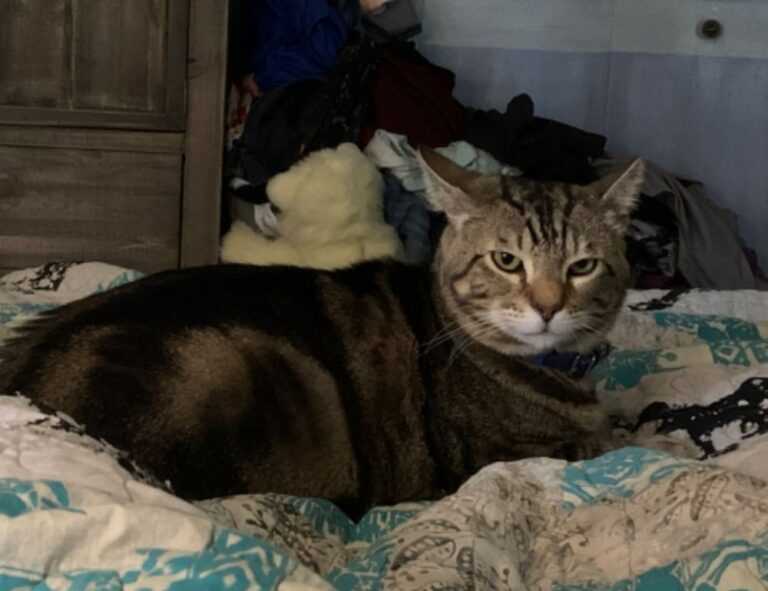 direct painting definition arcyhist