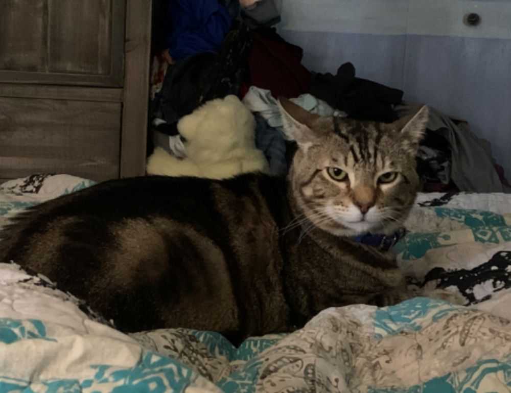 direct painting definition arcyhist