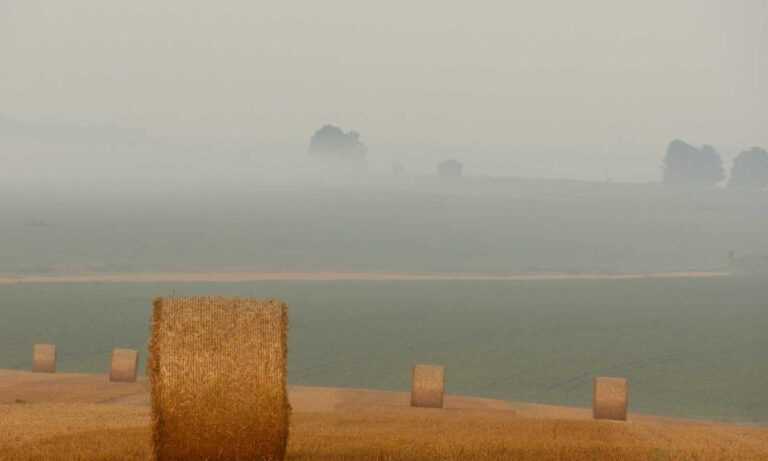 emblems flpcrestation