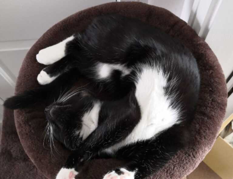 exhibition paint arcachdir