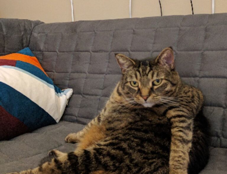 gallery oil paintings arcagallerdate