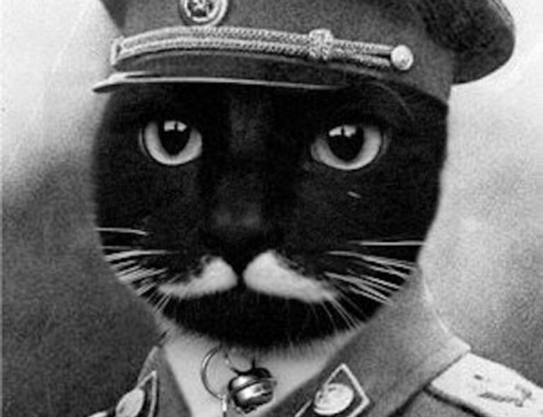 how art galleries work arcagallerdate