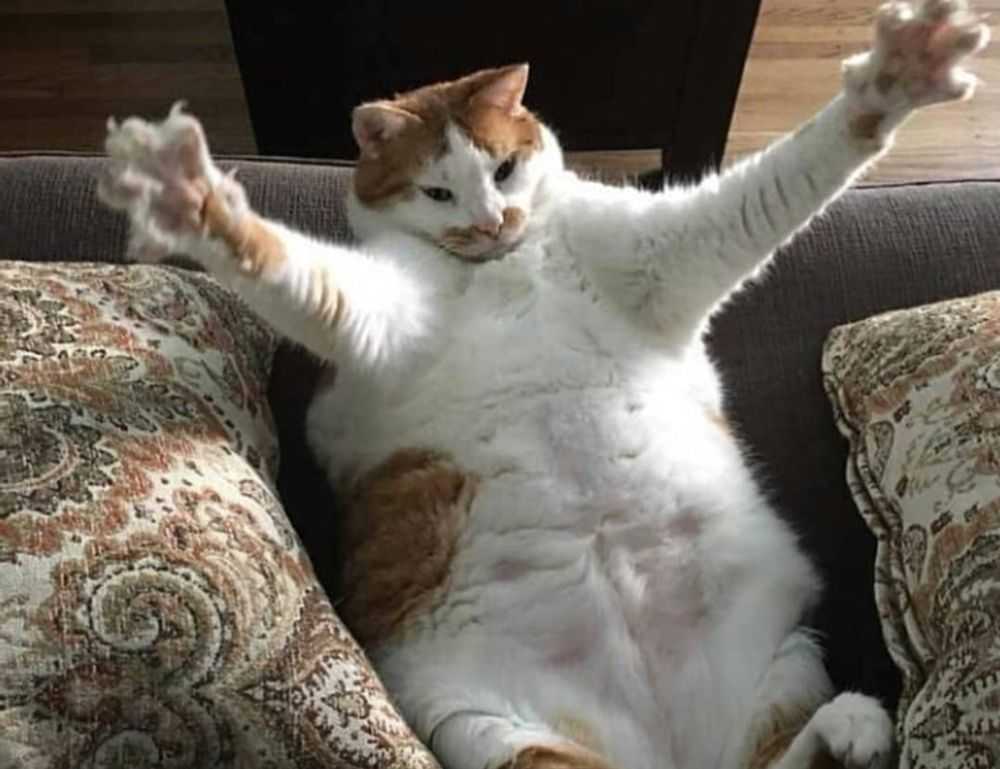 latest painting directory arcyhist