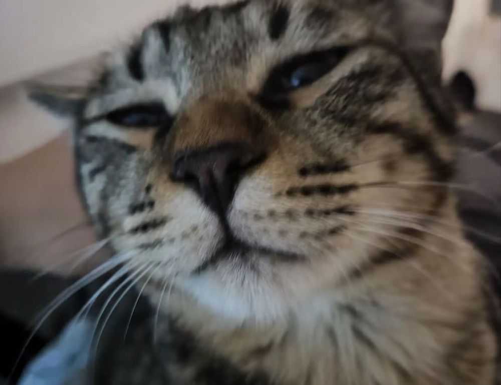 new fine art articles artypaintgall