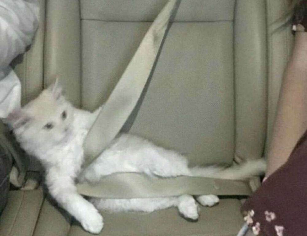 nlagica ketrica climb mountain in germany