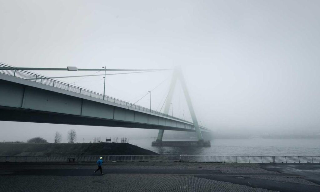 oil paintings arcagallerdate