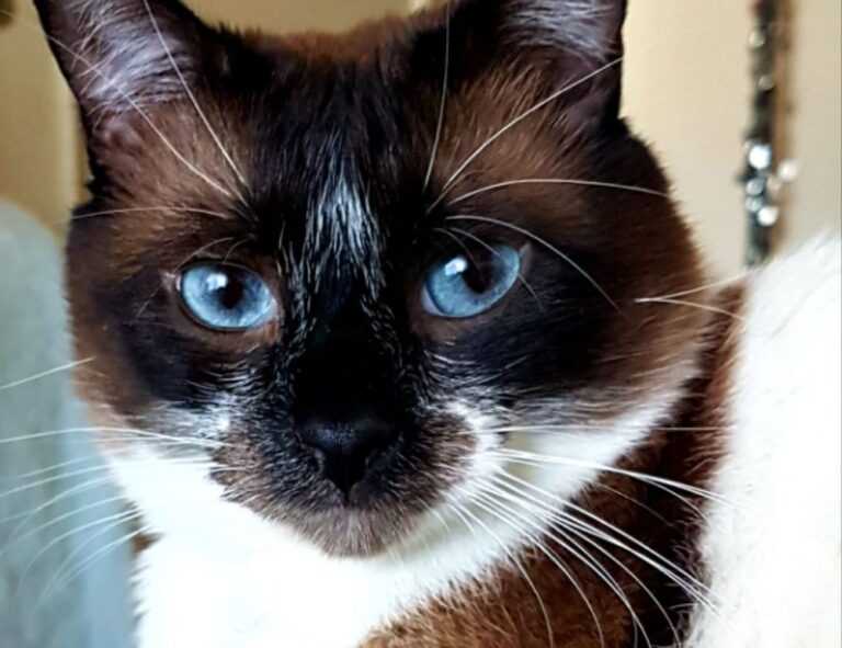 oil paintings exhibition arcagallerdate