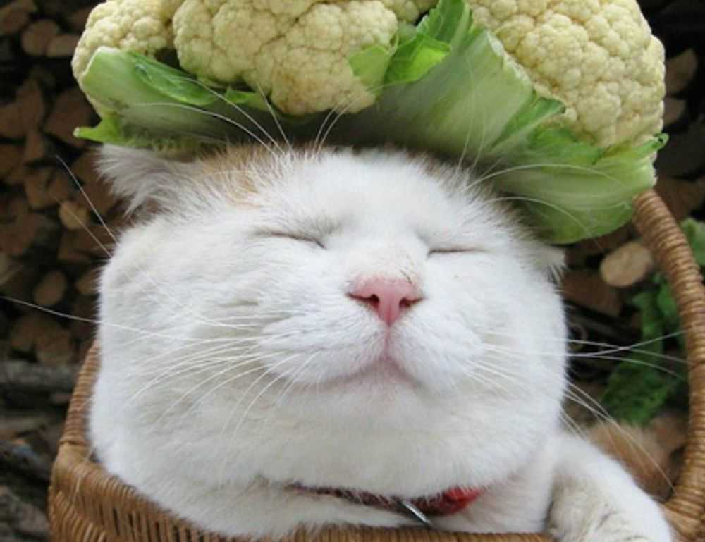 online stamps flpemblemable