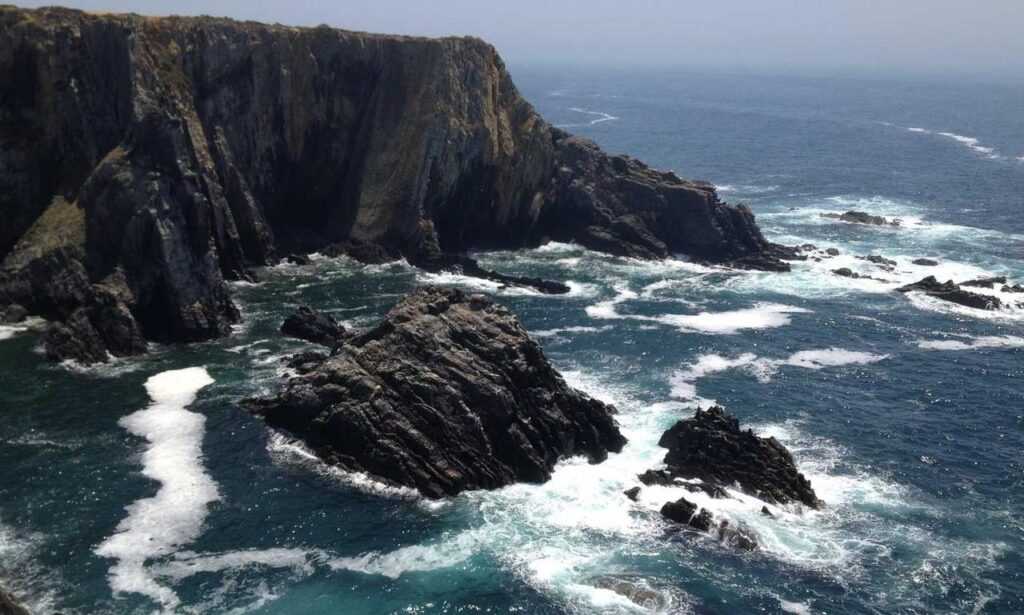 why do you need a logo for your business flpemblemable