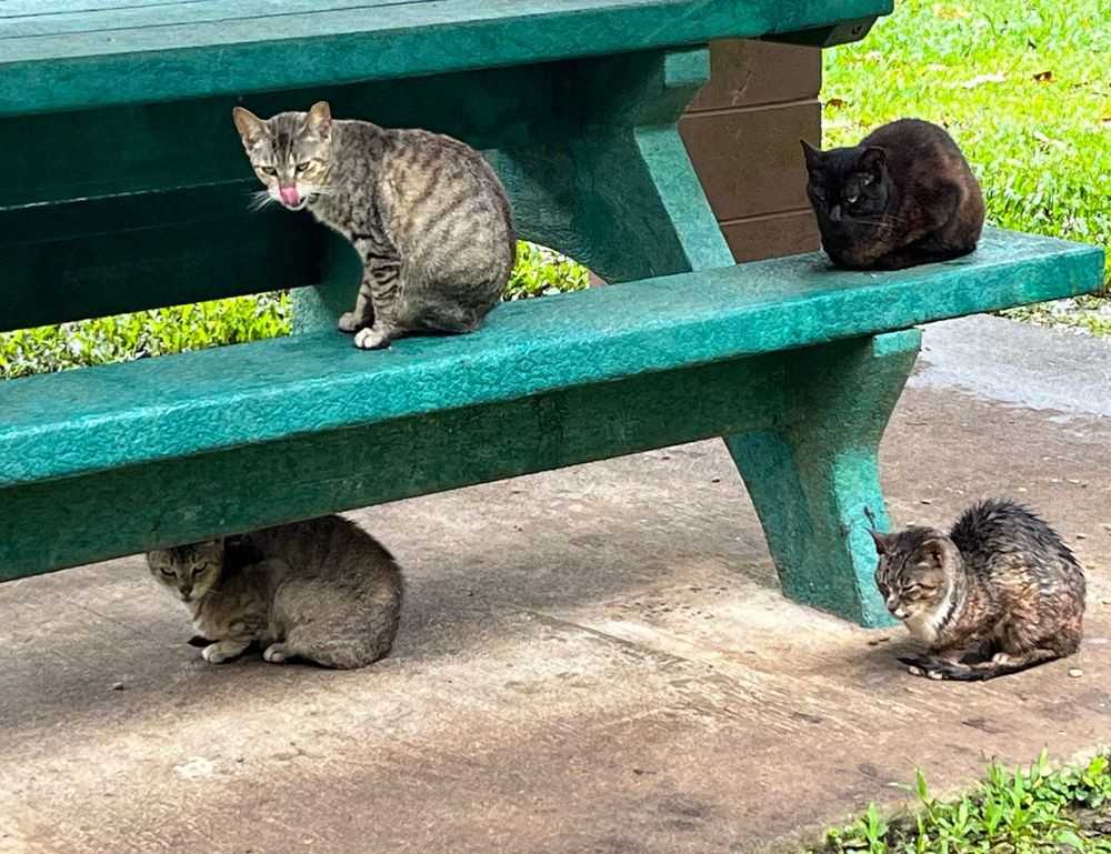 60000 pesos colombianos a soles