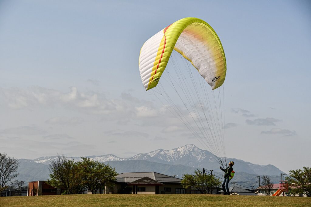 daytime star mangabuddy