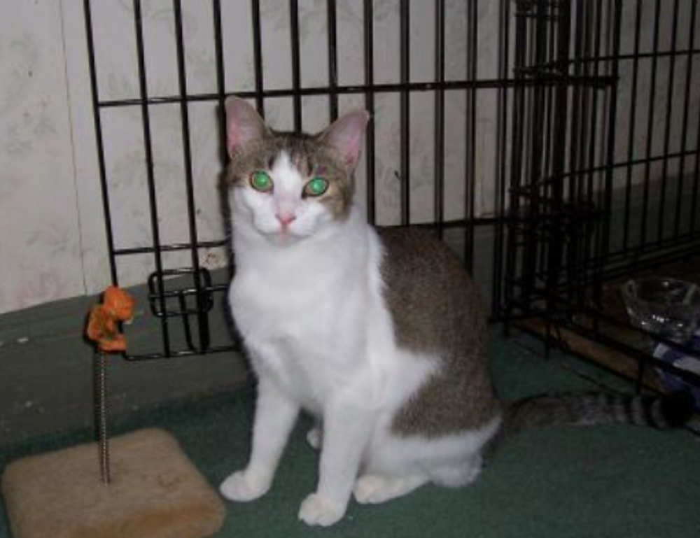 little girl without a shirt scary