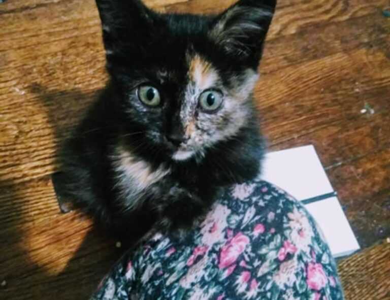 mia sofie onlyfans leaks