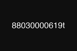 88030000619t
