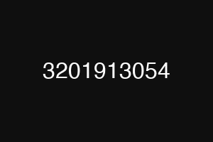 3201913054